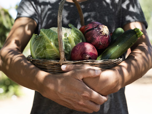 Rexer Family Farm photo 2