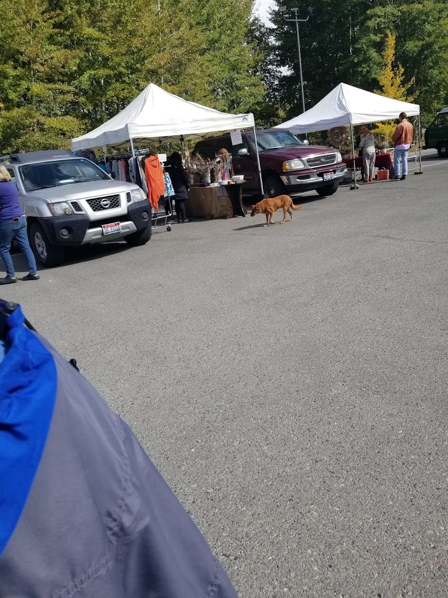 Ketchum Farmers' Market photo 2