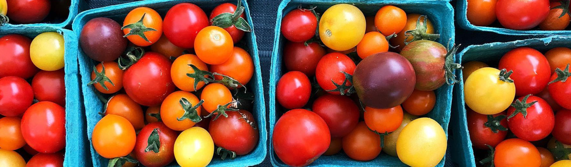 Ketchum Farmers' Market