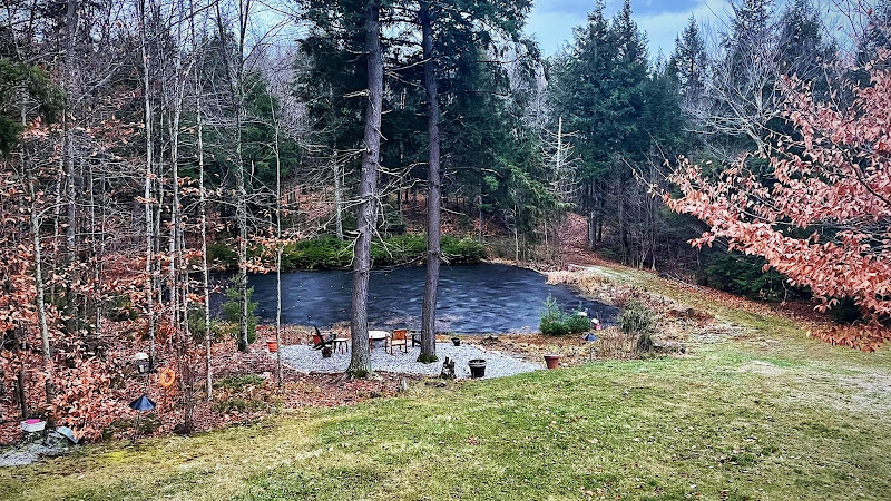 Downhome Farm photo 2