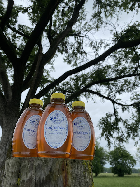 Ozark Bee Barn photo 2