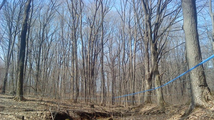 Goodell Family Farm photo 21