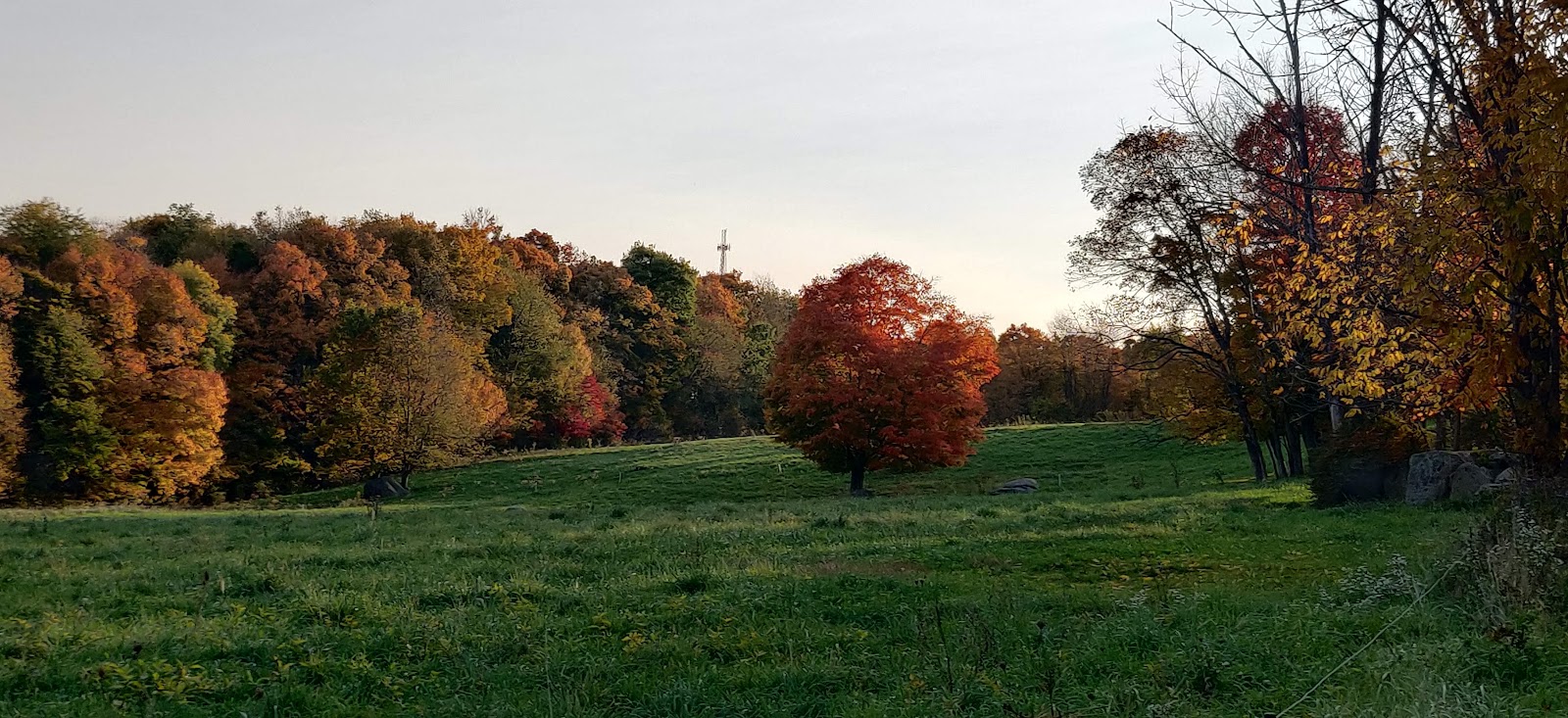 Goodell Family Farm photo 22