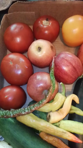 Springfield-Robertson County Farmers' Market photo 2