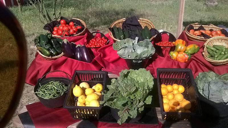 TigerMountain Foundation photo 2