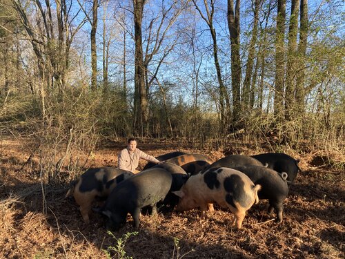 Southard Farms photo 3