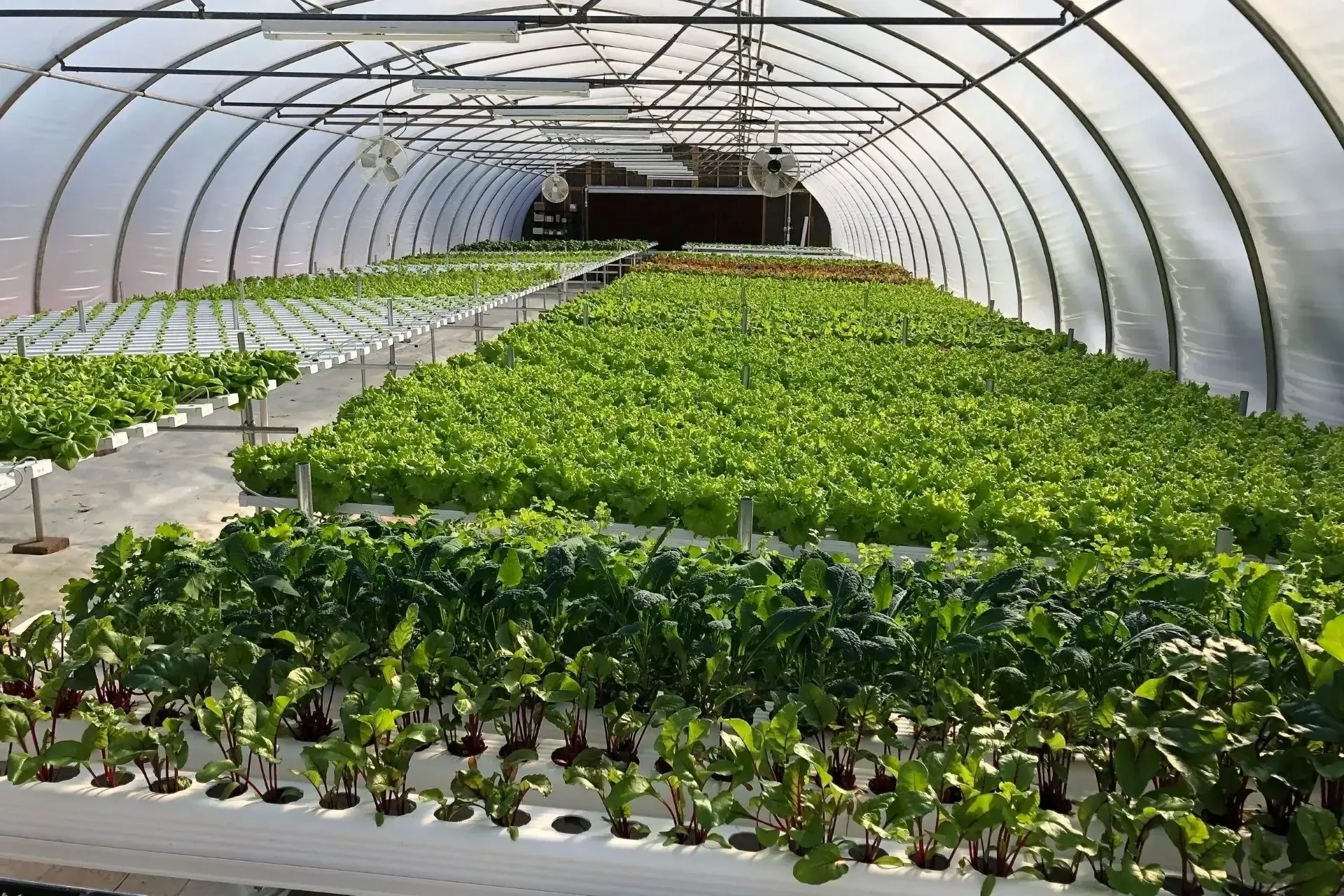 Anders Family Farms, LLC photo 14