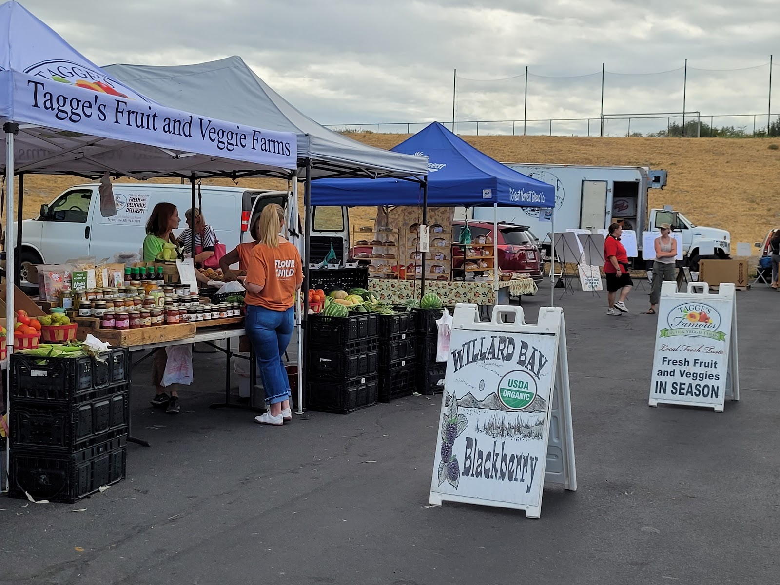 Murray Park Farmers' Market