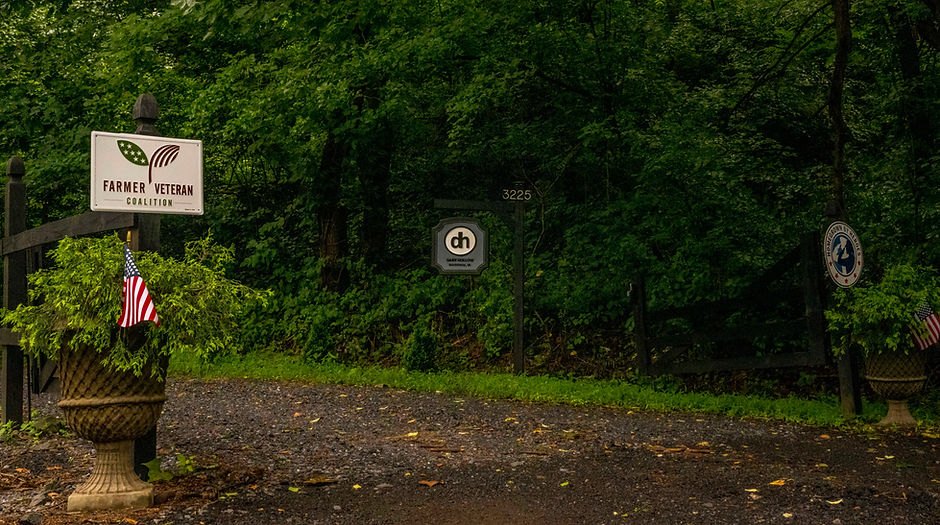 Dark Hollow Farm and Ranch photo 7