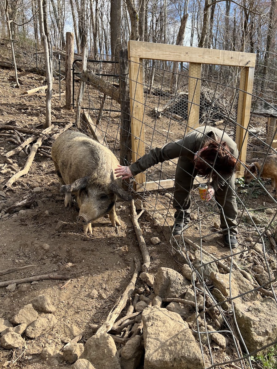 Dark Hollow Farm and Ranch photo 2