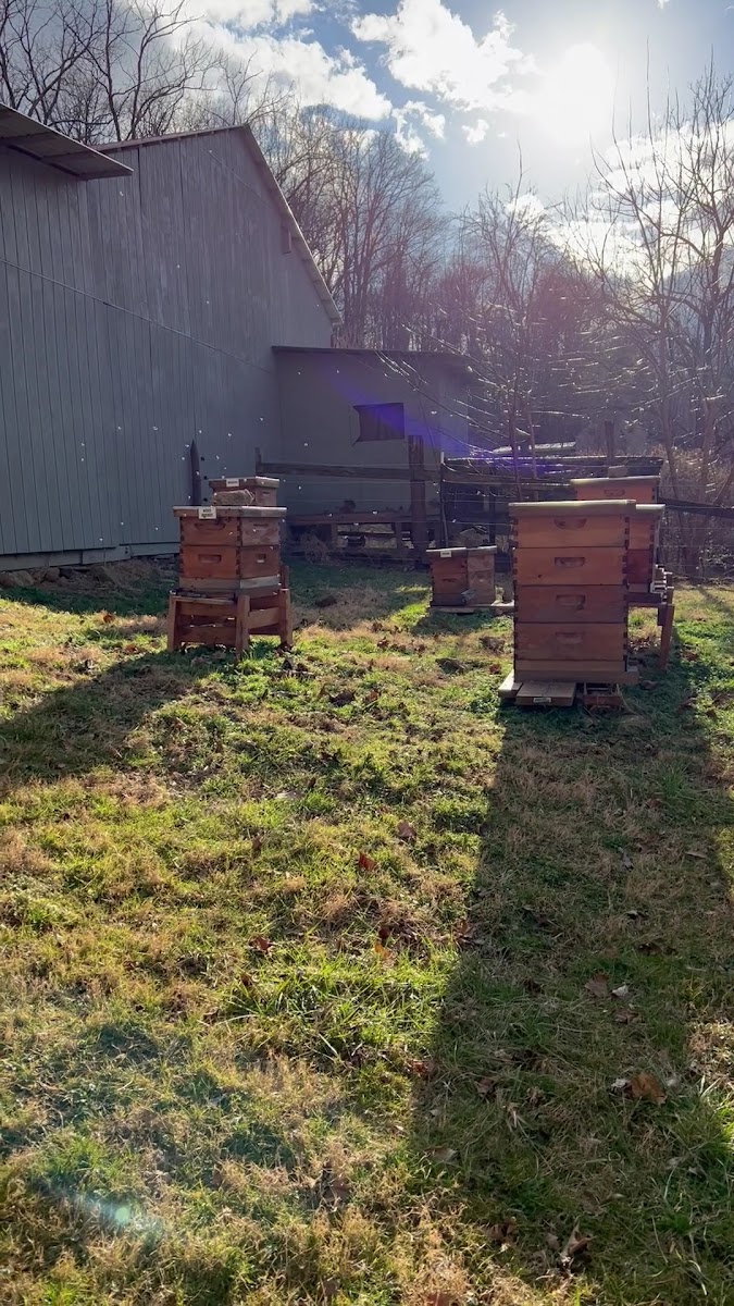 Dark Hollow Farm and Ranch photo 5