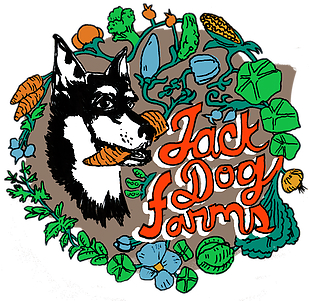 Jack Dog Farms