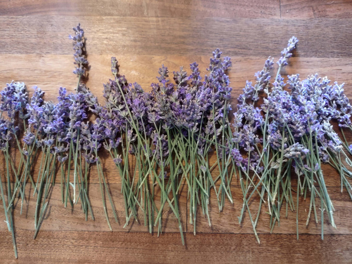 High Meadow Flower Farm