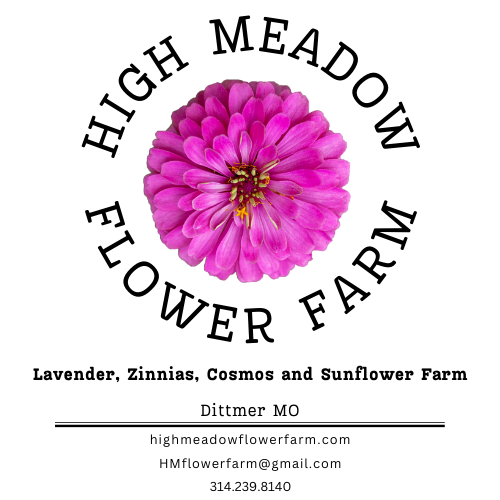 High Meadow Flower Farm photo 2