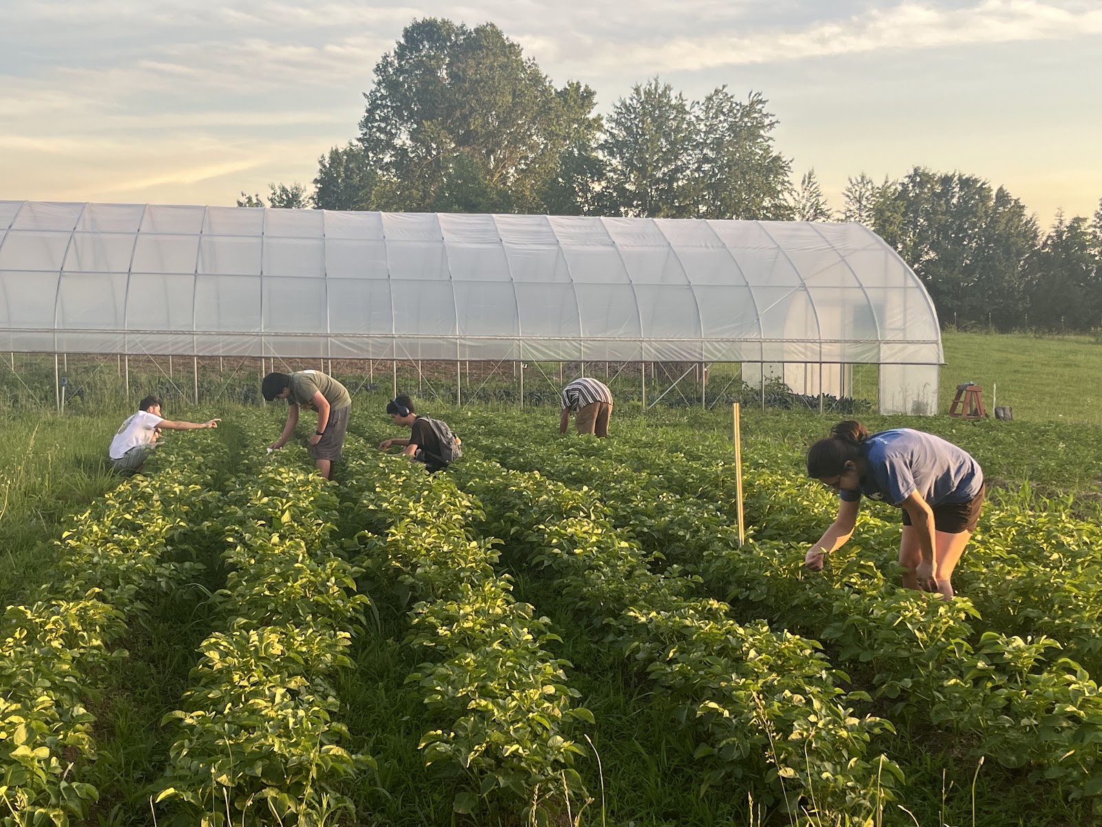 Hernandez Farms photo 2