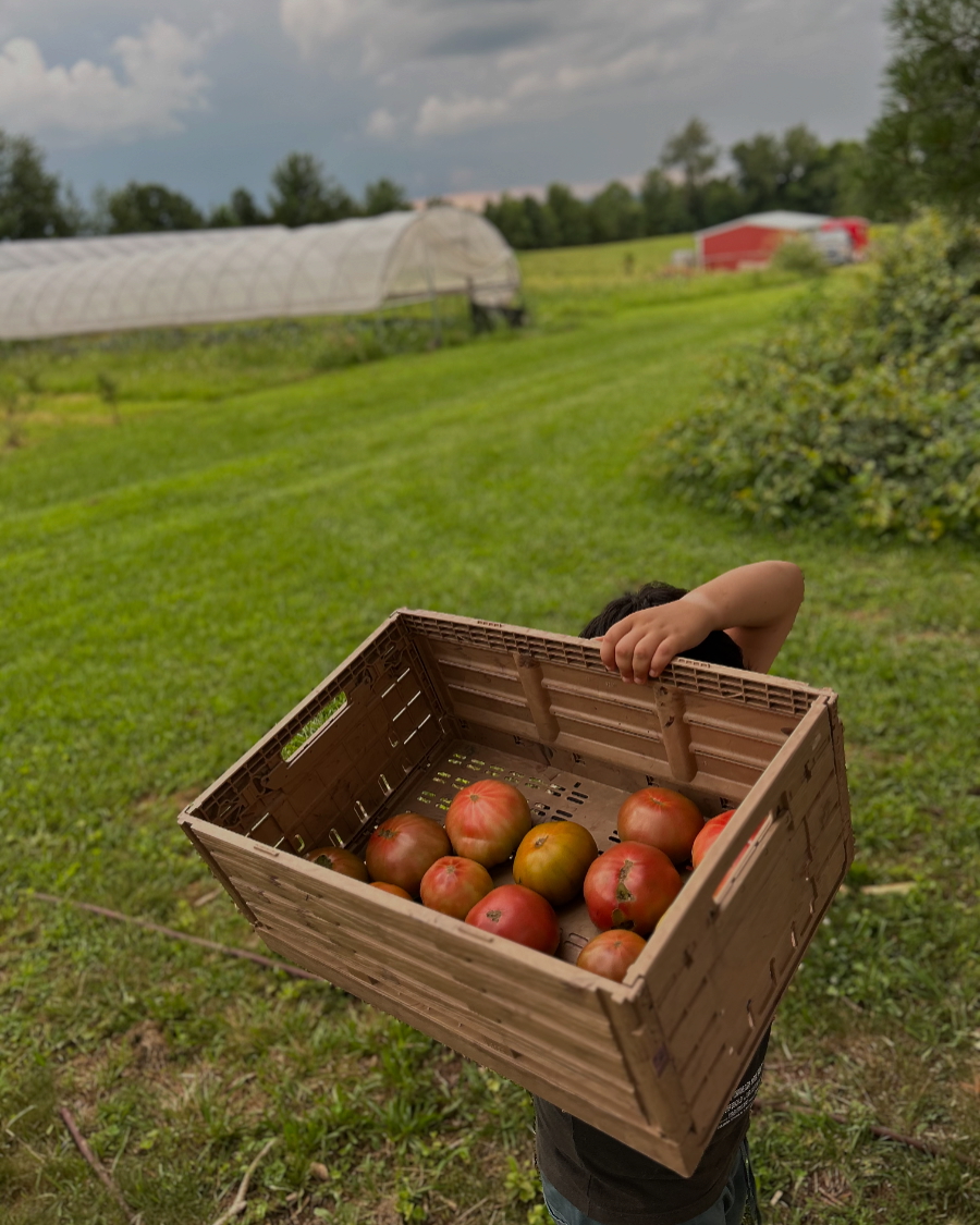 Hernandez Farms photo 3