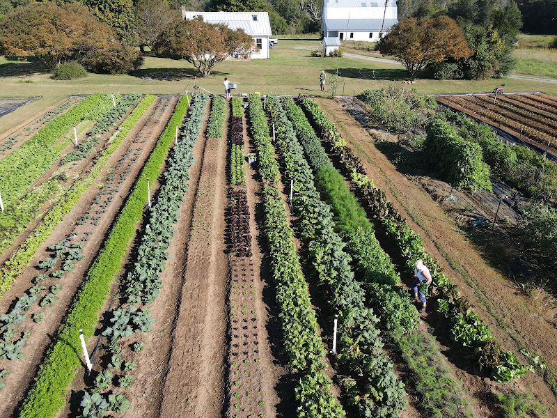 WildSide Farm photo 2