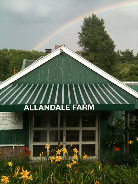 Allandale Farm photo 11