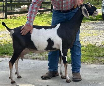 Hardwicke Farms photo 2