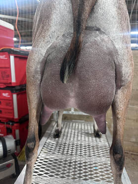 Hardwicke Farms photo 13