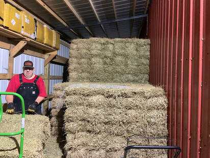 Hardwicke Farms photo 17