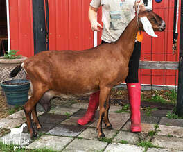 Hardwicke Farms photo 20