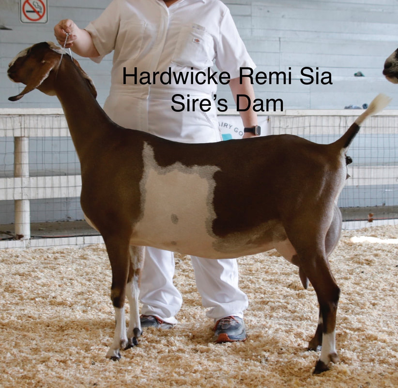 Hardwicke Farms photo 22