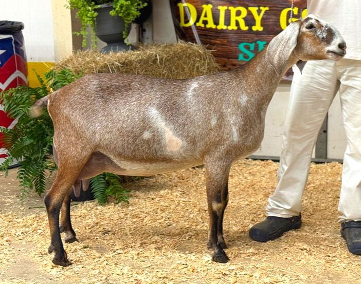 Hardwicke Farms photo 26
