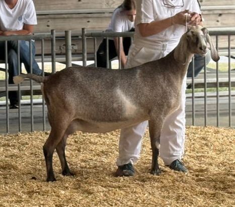 Hardwicke Farms photo 27