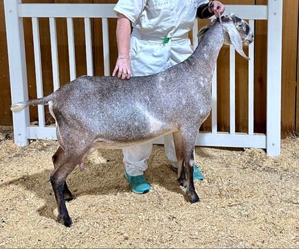 Hardwicke Farms photo 28