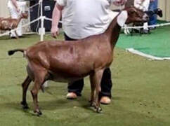 Hardwicke Farms photo 9