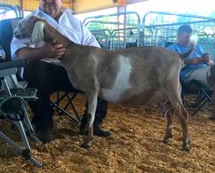 Hardwicke Farms photo 10