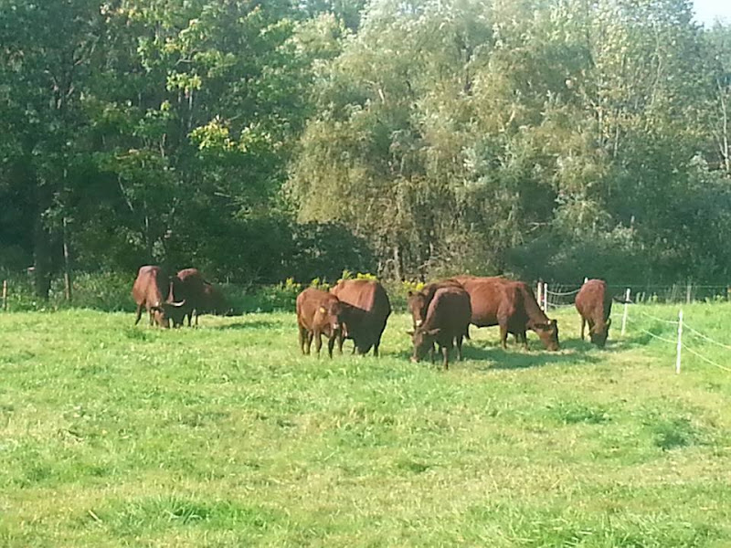 Harvest Bell Farm photo 2