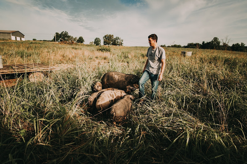 Cedar Valley Farms photo 9