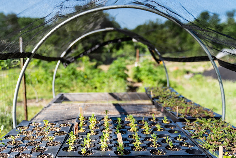 In the Garden Farm photo 2