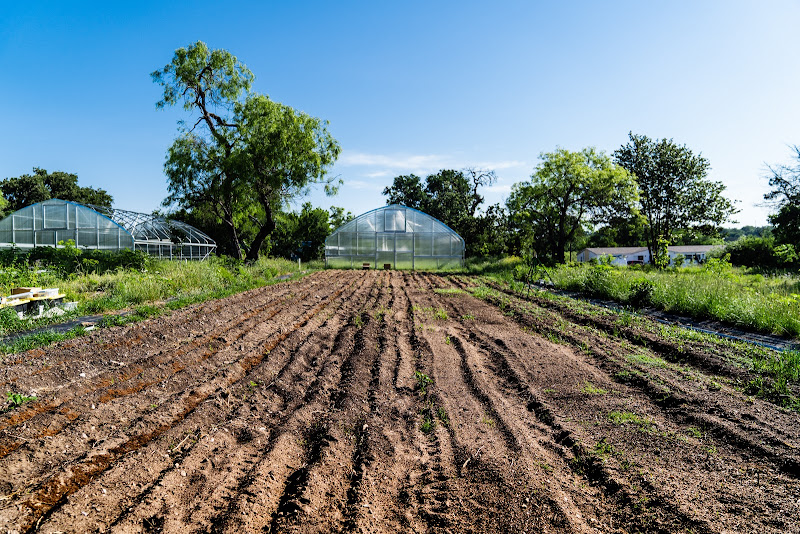 In the Garden Farm photo 3