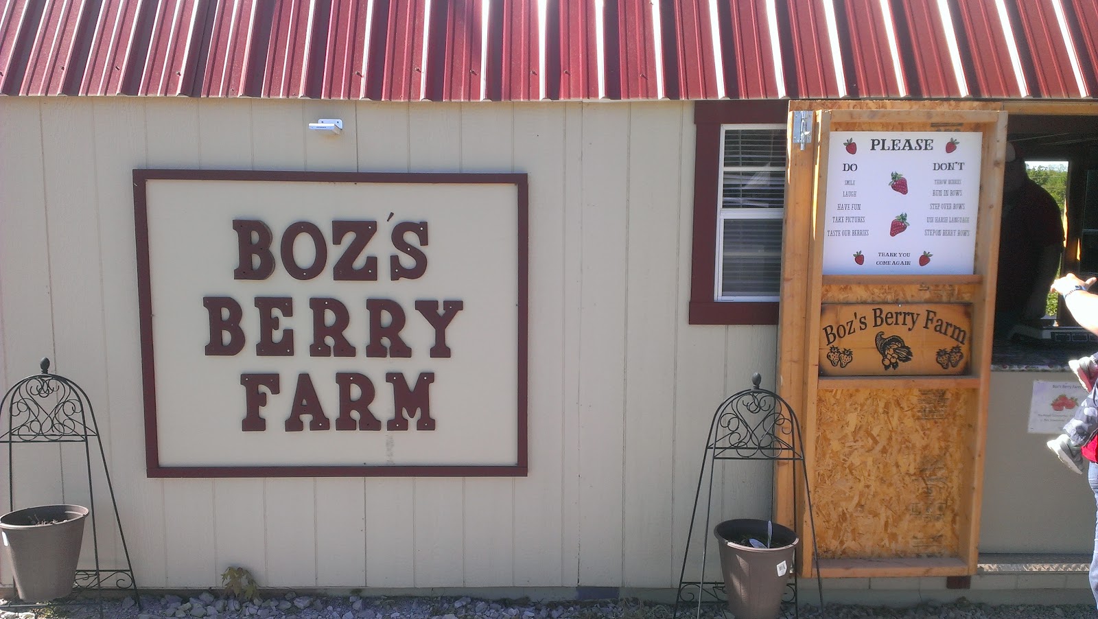 Missouri Berries photo 4