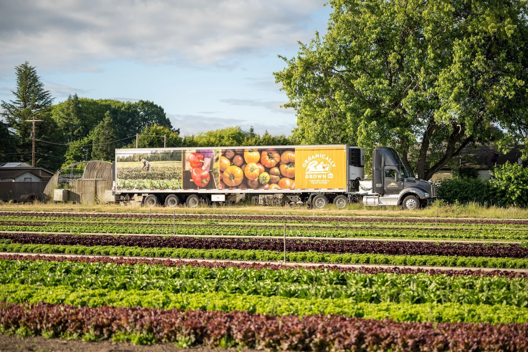 Organically Grown Co - Eugene Office