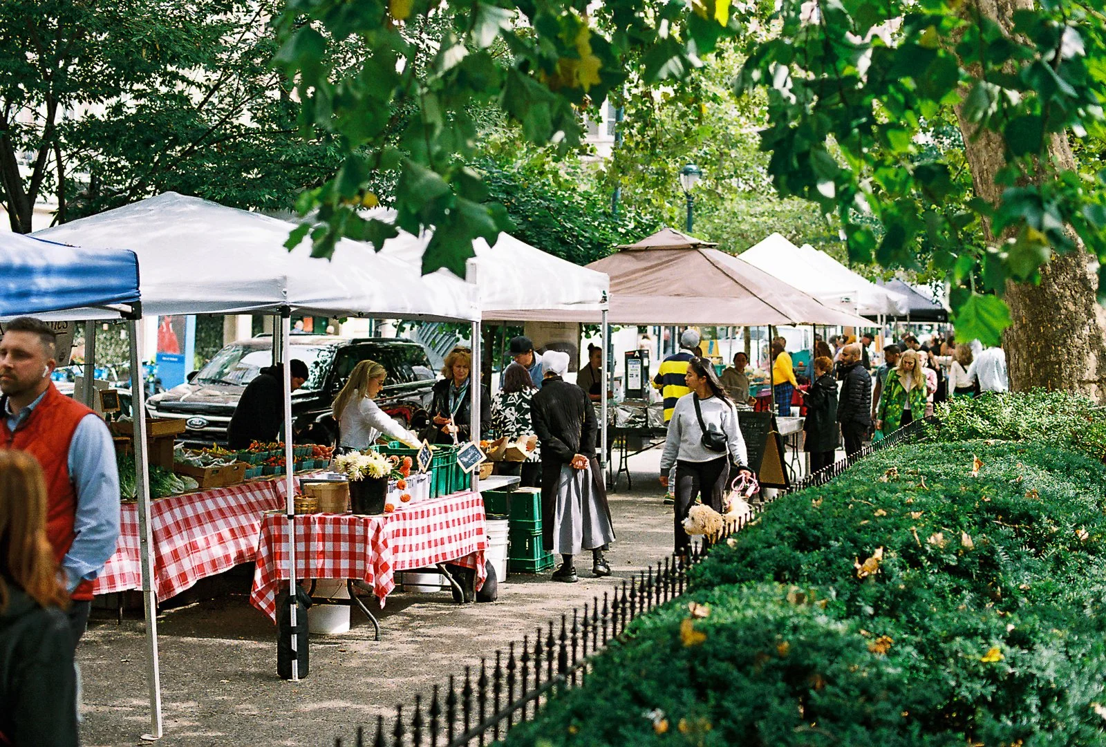 Jefferson Farmers' Market