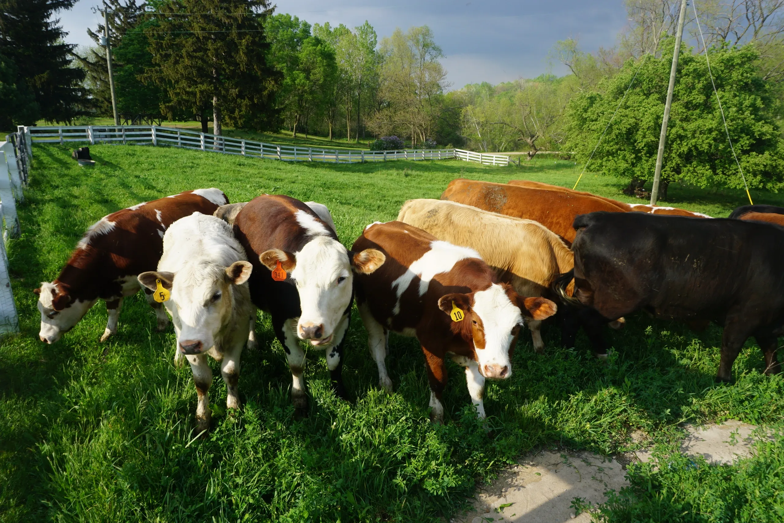 Roseland Organic Farms photo 4