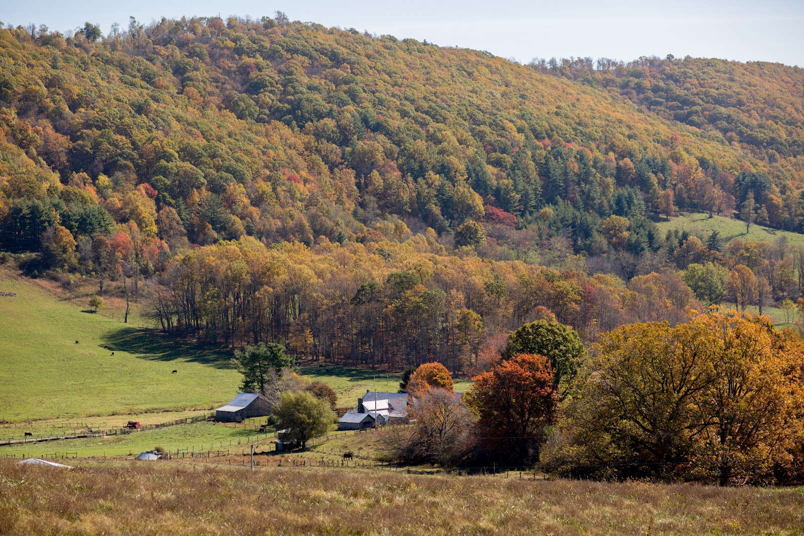 Fields Edge Farm Store