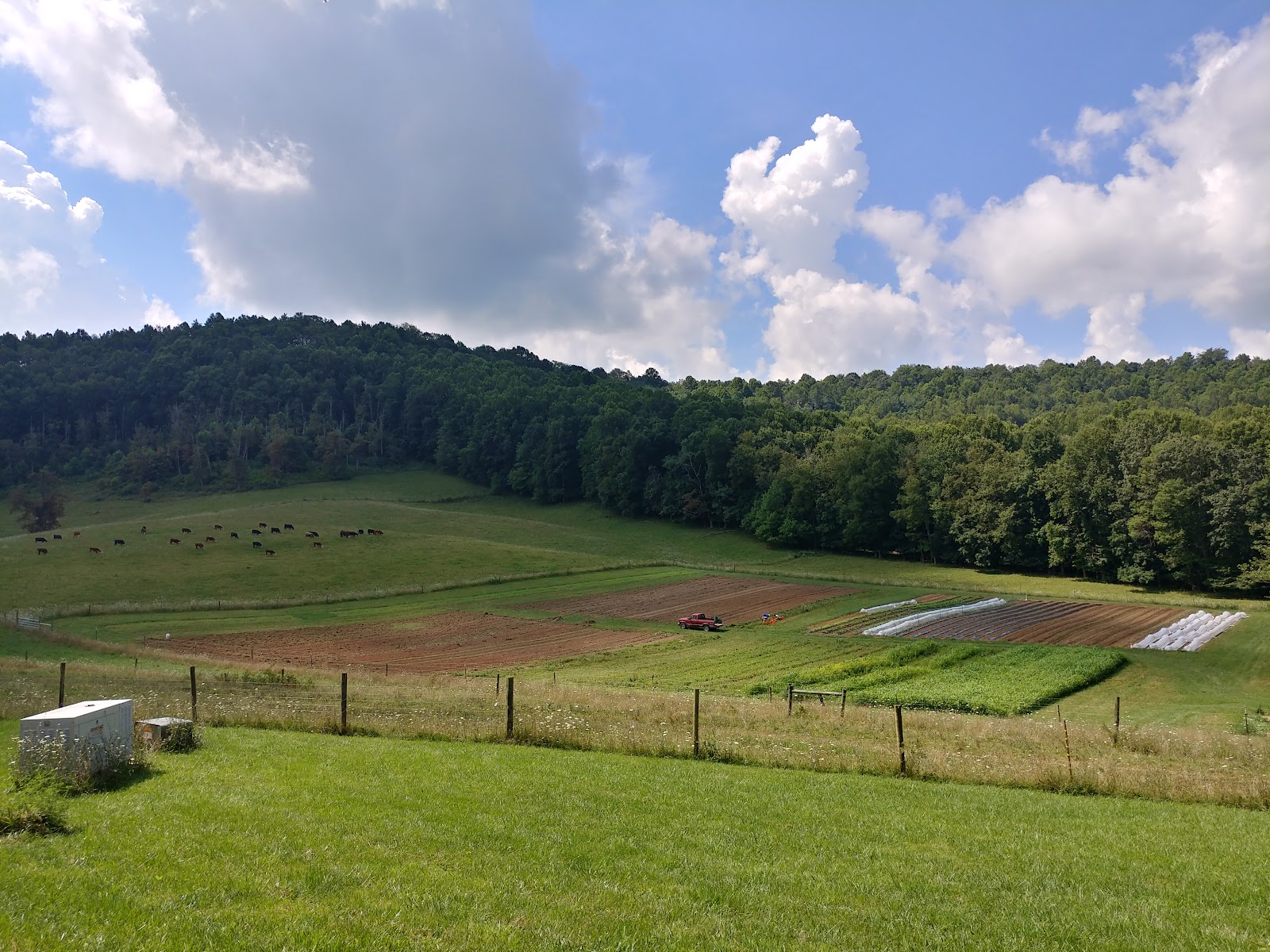 Fields Edge Farm Store photo 3
