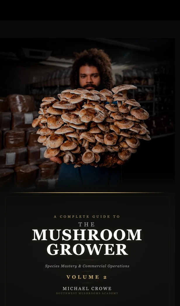 Southwest Mushrooms photo 19