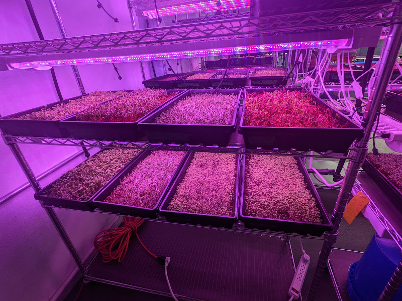 Fusion Farms