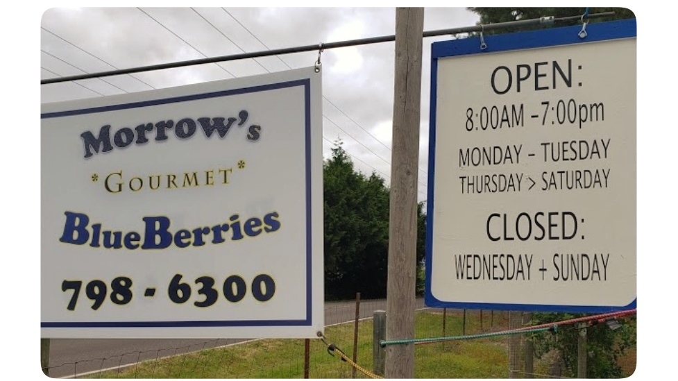 Morrow's BlueBerry Patch photo 2