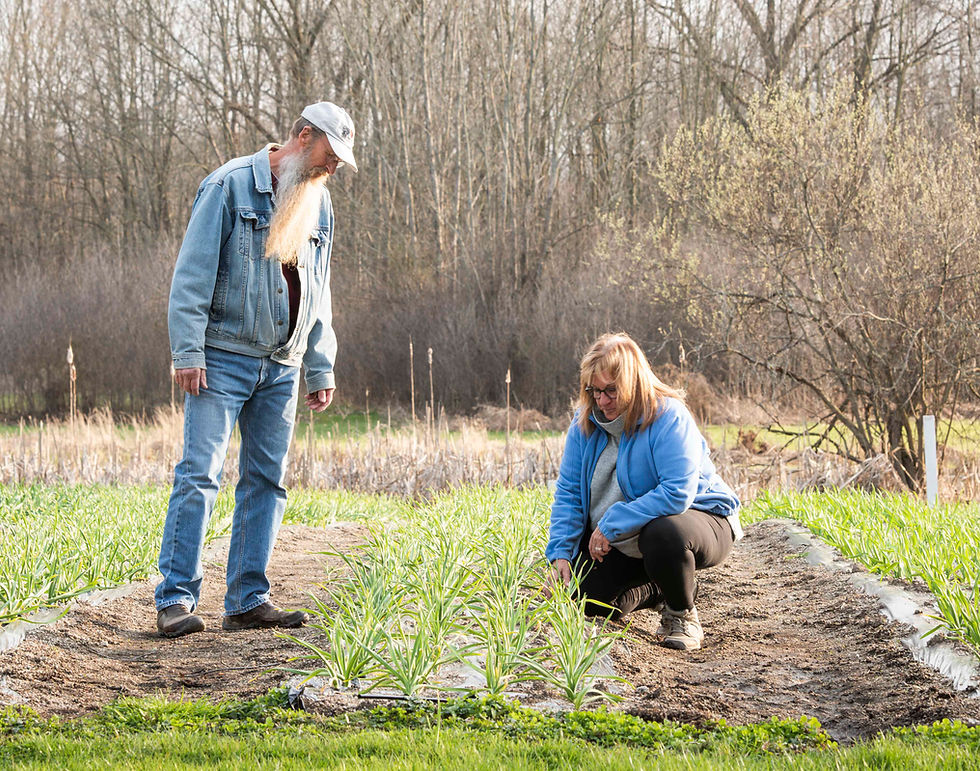 Thaxton Family Farm photo 19
