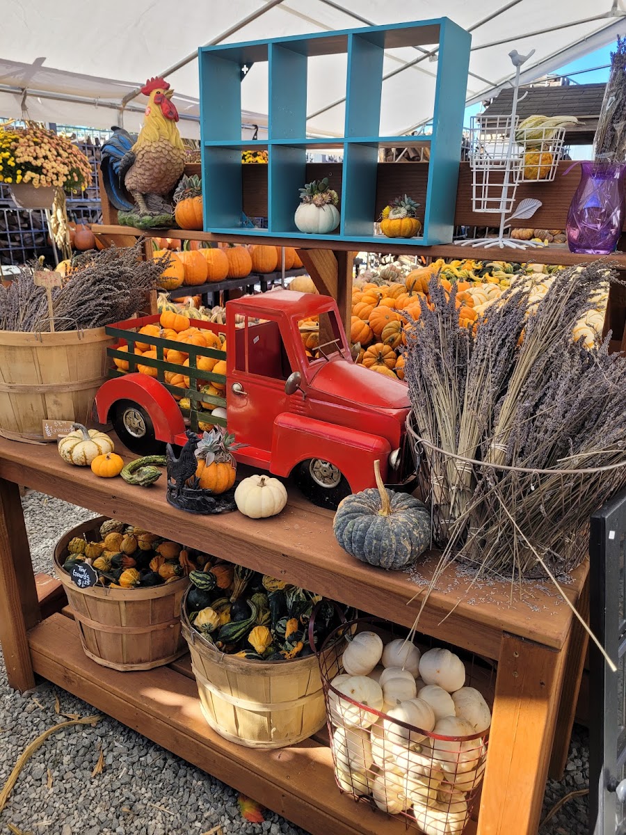 Loudounberry Farm & Garden photo 4