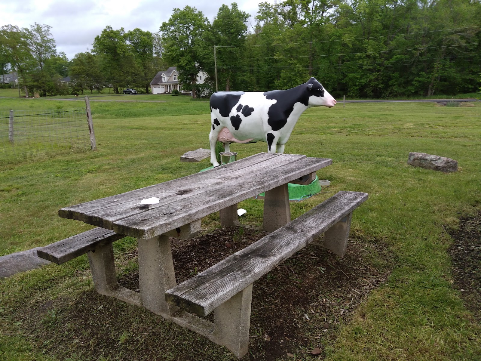 Burke Ridge Farms photo 2