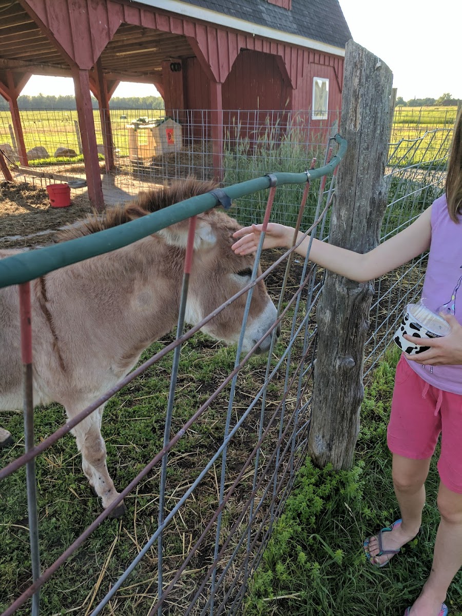 Burke Ridge Farms photo 4