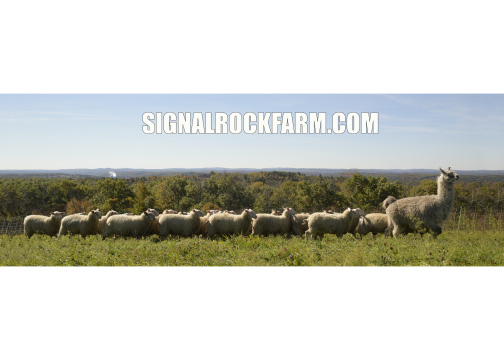 Signal Rock Farm photo 2